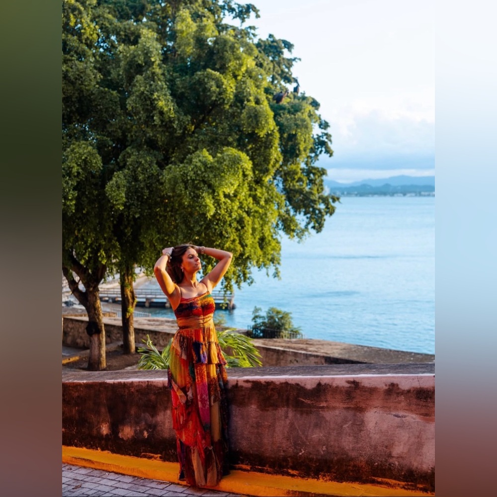 SIDDHARTHA BANSAL Paradise Chiffon Maxi Dress - Picture 11 of 12